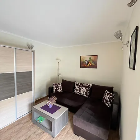 Radoicic Apartment Josanicka Banja