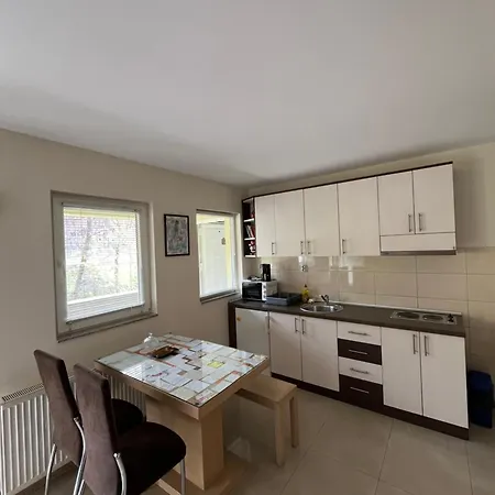 Radoicic Apartment