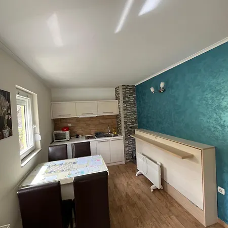 Apartment Radoicic