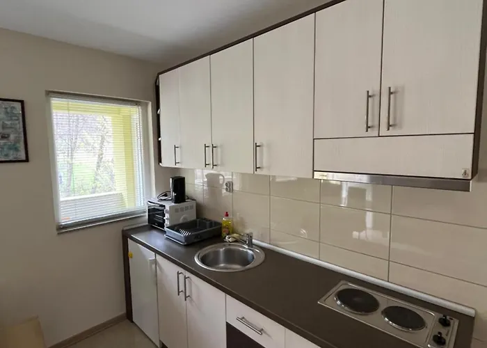 Apartament Radoicic *